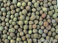 Sell Chinese Ma Peas