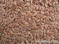 Sell Chinese Flax Seeds