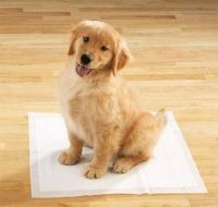 Sell puppy training pads