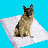 Sell puppy pee training pad
