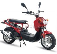 Sell Motor Zoomer Scooter 150T-10