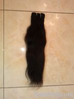 Sell virgin human hair