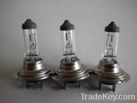 Sell Auto Halogen Bulb