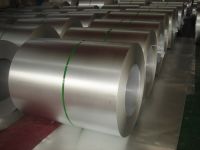 wholesale   Hot-dip Galvanized  steel  coil