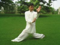 Sell Xing Yi Quan training-Kung Fu