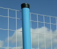 Sell Holland wire mesh fence