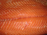 Sell froze salmon fillet