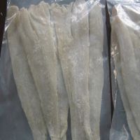 Sell frozen salted pollock