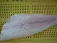 Sell frozen halibut