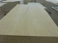 Sell poplar plywood