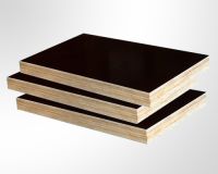 Sell 21mm black film faced plywood