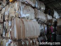 Sell recycling waste paper and cardboard