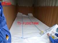 Sell flexibag container