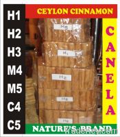 WHO CAN BE AN AGENT FOR CEYLON CINNAMON/CANELA