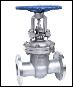 Stainless Steel Gate Valve