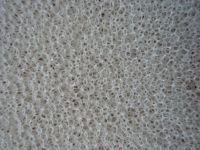 Sell  dry fast reticulated foam