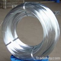 Sell 304 Stainless Steel Wire