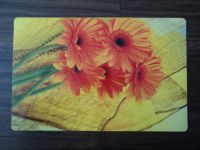 PP place mat with nice printing