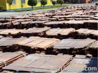 Sell Copper cathode