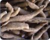 Sell Cassava