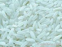 i am export and supply rice