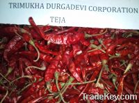 I AM EXPORT AND SUPPLY TEJA RED CHILLI