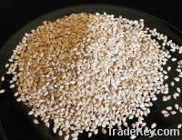 Natural West African Sesame Seed