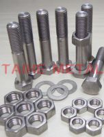 Titanium screw and bolts