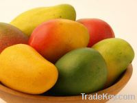 We Supply Fresh Mangos, Avocado, Guava fruits, Fresh Jasmine flower