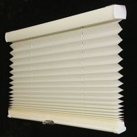 pleated blind