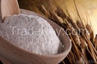 Wheat and Wheat Flour