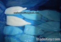Sell fresh seafood frozen squid tubes (skype:maggie19880125)