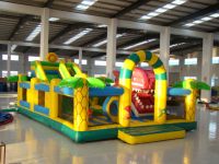 sell inflatable amusement park