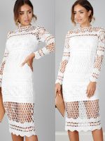 Sexy Slim Elegant Fashion 2017 New Style Lace Solid Long Sleeve Hollow Out Party Charming Dress W880647