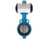 Sell Pneumatic Butterfly valve 301