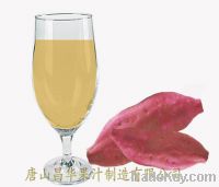 Sell Sweet potato juice concentrate