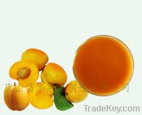 Sell apricot puree concentrate
