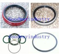 Oil Seal (Car)