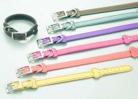 Sell Pet Collar