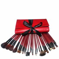 Hottest selling Professional factory direct high quality Beauty girls 22pcs Cosmetic Makeup Brush Set/pouch