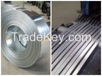 Stainless Steel Strips