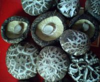 Sell organic fragrant mushroom
