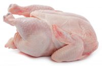 Whole Frozen Chicken and parts for sale