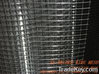 Sell Stainless steel welded wire mesh