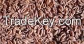 ORIGINAL exports psyllium husk Seeds