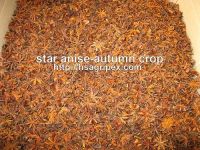 Sell star anise autumn crop