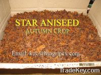 Sell whole superior star aniseed