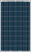 Sell 230W poly solar panel