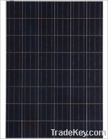 Sell 80W poly solar panel with TUV certificate