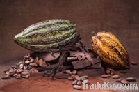 Sell Cocoa Beans